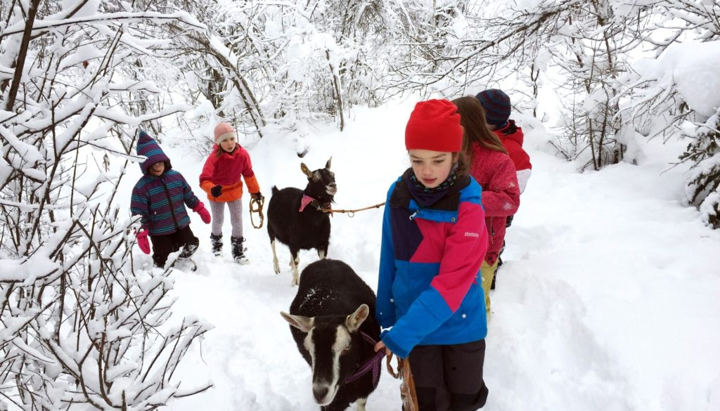 18-01-Geissenspaziergang-Winter-FaKo