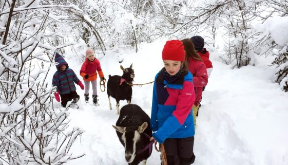 18-01-Geissenspaziergang-Winter-FaKo